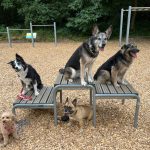 👙🩳Sommer-Parcours 🐾