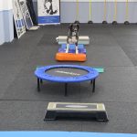 Cavaletti-Einführungsworkshop: Der fitte Spaß für jeden Hund!